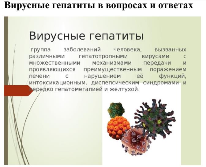Профилактика вирусных гепатитов