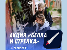 Акция «Белка и Стрелка».