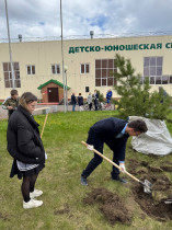 Всероссийская акция "Сад памяти".