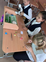 Строение клеток яблока, арбуза и томата.